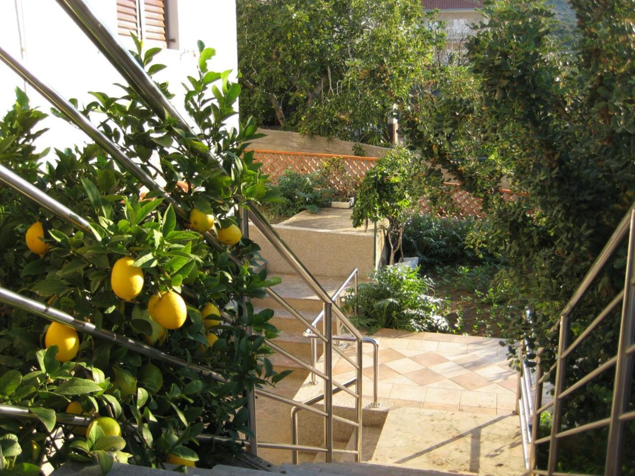 Apartments Martina Primošten Esterno foto